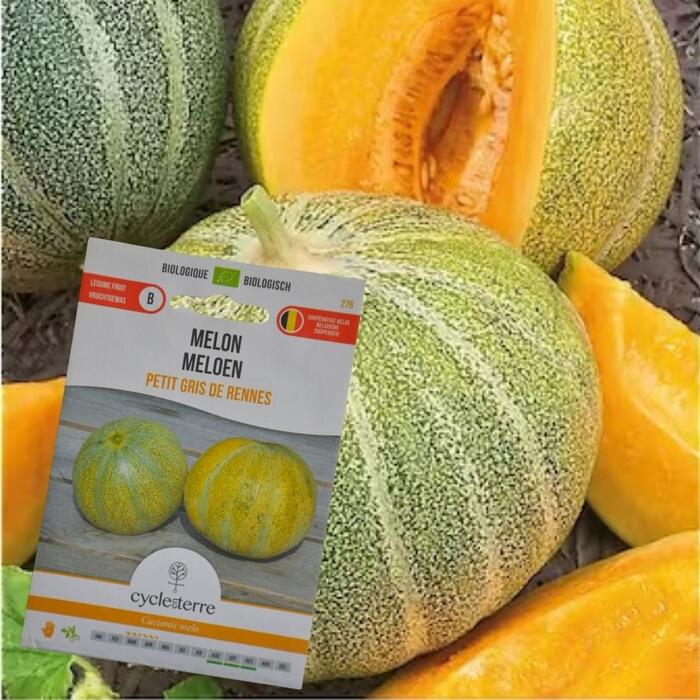 Meloen - zaaigoed (Z20.30.10.10)