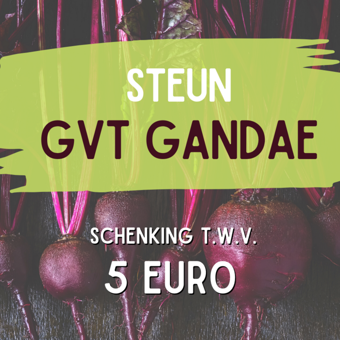 Schenking Vzw Gandae GVT (A30.30.10.10)