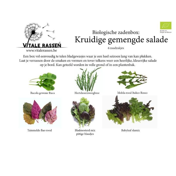 Zadenbox kruidige salade (Z10.30.20.60)